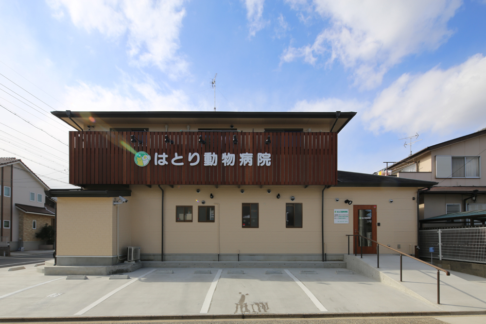 愛知県名古屋市　事業承継動物病院リニューアル設計