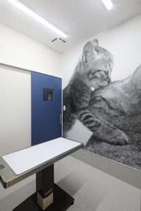 柏の葉動物病院　猫診察室