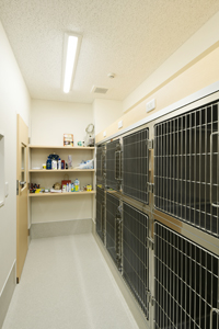 犬用入院室と収納棚