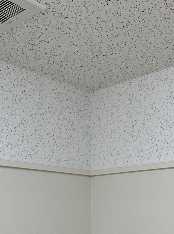 入院室天井：ｿｰﾗﾄﾝ　ｺの字型廻縁
