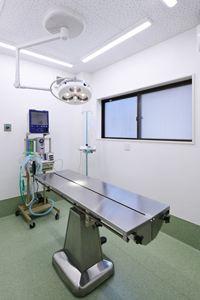動物病院　ＯＰＥ室　手術台と無影灯