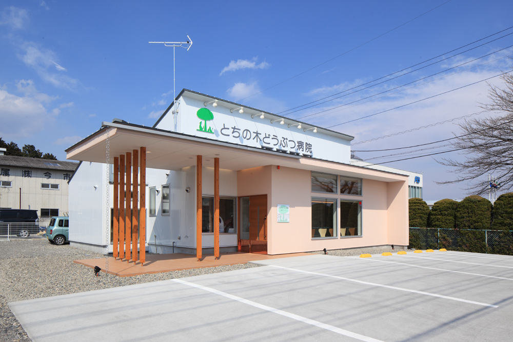 栃木県日光市　戸建小動物病院設計